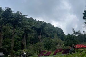 Ninh Binh Excursion Luxury Tour Sapa 6